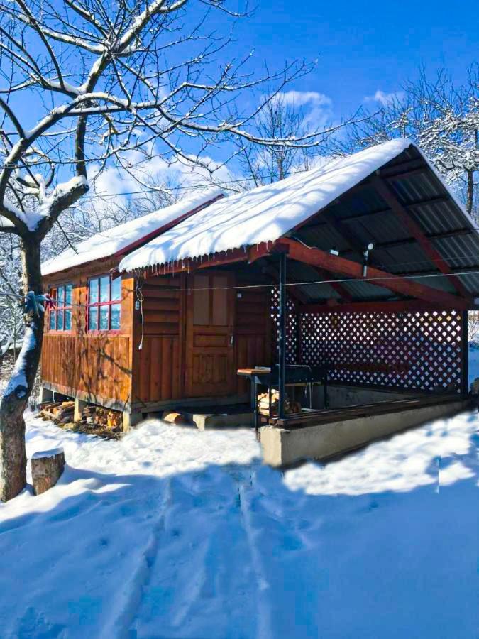 Під Лісом У Гіда Villa Jaremtsje Buitenkant foto