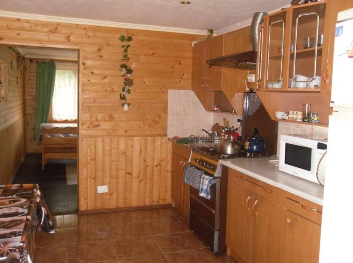 Під Лісом У Гіда Villa Jaremtsje Buitenkant foto
